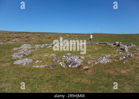 Merrivale Prehistoric Settlement, western Dartmoor, Princetown, Yelverton, Devon, England, UK: Bronze Age stone hut circle Stock Photo