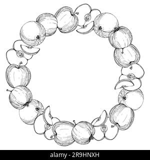 Hand drawn ink apple ripe fruits, full and slices, monochrome vector, detailed outline.Circle round wreath Isolated on white background.Design for Stock Vector
