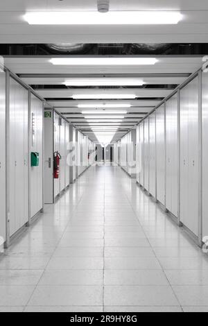 Long interior empty corridor hallway illuminated by neon lights with locker doors across both side, no people. Stock Photo