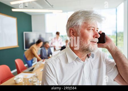 Bearded senior businessman talking on mobile phone at office Stock Photo