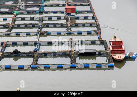 Ta Van, Sa Pa, Vietnam-April 2023; Close up view of net pens or cages for raising farmed fish, floating in the man-made Seo My Ty Sapa Lake Stock Photo