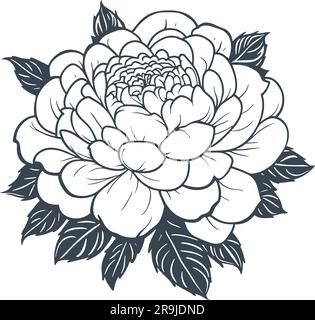 Vintage beautiful peony hand drawn. Ink silhouette lush bloom. Botanical decoration, blooming garden flower, isolated vector illustration Stock Vector