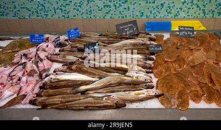 different fishes from the atlantic ocean on the shop counter of a stall in a market hall at Vannes in Brittany, France Stock Photo