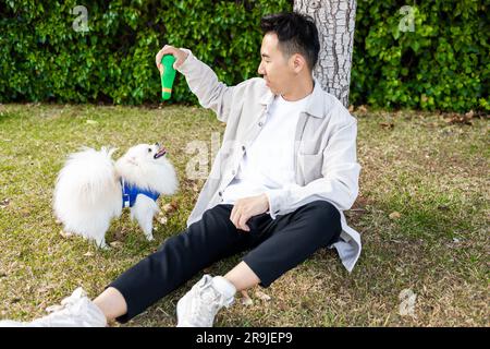 Asian man sitting on green grass against tree and suggesting toy to cute white fluffy Spitz while looking at each other Stock Photo
