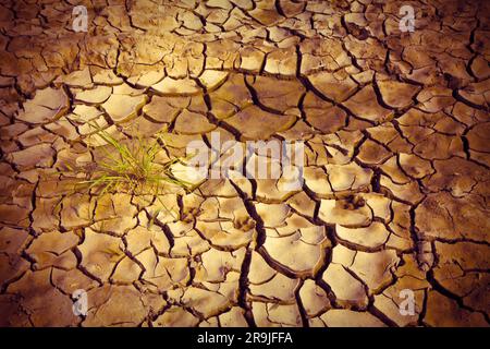 Infertile land burned by the sun: famine and poverty concept Stock Photo