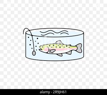 Fish farm or farming, rainbow trout in filtered pool, colored graphic design. Fish, fishing, animal, aquaculture, pisciculture and mariculture, vector Stock Vector