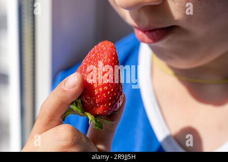 A happy child eats ripe strawberries. Delicious fresh organic strawberry berry. The boy takes a bite out of a red strawberry berry. Baby's mouth with Stock Photo