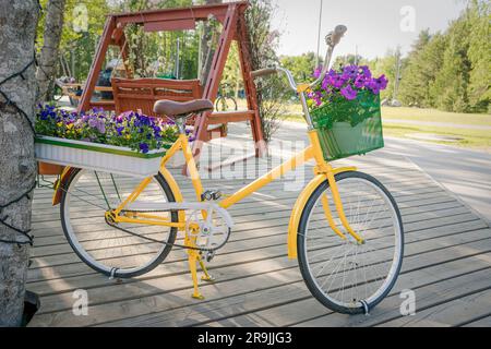 Yellow womens online bicycle