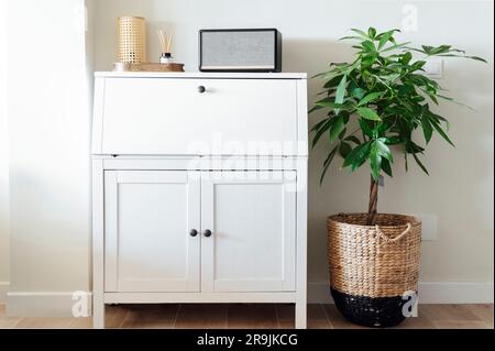 Interior of room with laminated floor and white wooden cabinet with shelf and pull doors placed near potted plant Stock Photo