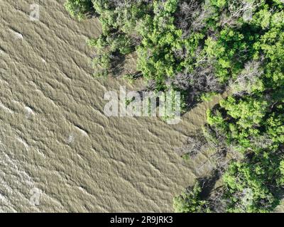 Aerial view green mangrove forest and sea water wave. Net zero emissions concept. Natural carbon sinks. Mangrove tree capture CO2. Blue carbon eco Stock Photo
