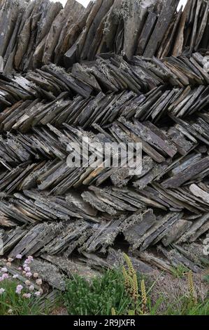 Traditional "herringbone" patterm drystone wall, north Cornwall, UK Stock Photo