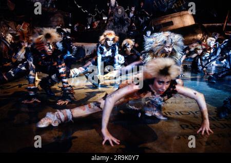 members of the 1989 8th anniversary cast of the musical CATS based on T. S. Eliot’s 'Old Possum's Book of Practical Cats' at the New London Theatre, London WC2  composer: Andrew Lloyd Webber  design: John Napier  lighting: David Hersey  choreography: Gillian Lynne  director Trevor Nunn Stock Photo