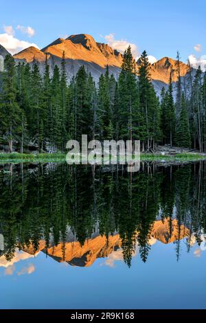 Longs Peak at Nymph Lake - Vertical - Majestic Longs Peak, with golden sunset light shining on its top, reflected in blue Nymph Lake. RMNP, CO, USA. Stock Photo
