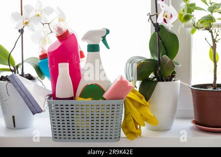 Spring cleaning office or house concept. Different cleaning supplies over  blurred spring background among floating soap bubbles. Copy space Stock  Photo - Alamy