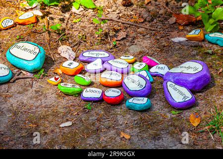 Inspirational painted pebbles on the roadside at the base of a tree on Vancouver Island Canada Stock Photo