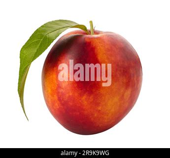 Nectarine peach with green leaf isolated on white with clipping path included Stock Photo