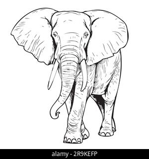 Elephant walking sketch hand drawn in doodle style illustration Stock Vector