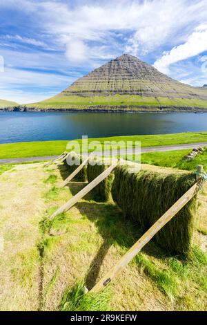 Sun drying of hay in the green meadows with mountains and ocean on background, Muli, Bordoy island, Faroe Islands, Denmark Stock Photo