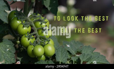 The phrase To look the best, eat the best. Fresh fruits and vegetables Stock Photo