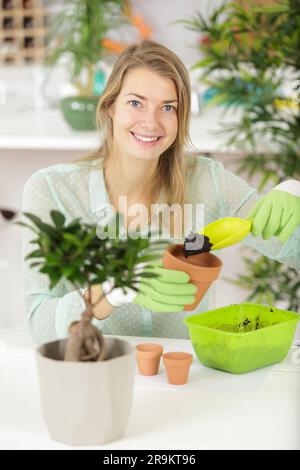lovely housewife with plant in pot and gardening set Stock Photo