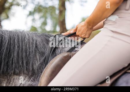 Pretty girl, a horseback rider riding beautiful gray horse, walking along a path on a sunny summer day Stock Photo