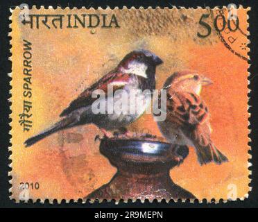 INDIA - CIRCA 2010: stamp printed by India, shows sparrow, circa 2010 Stock Photo