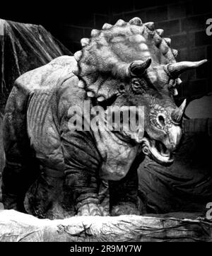 prehistory, animals, Dinosaur, triceratops, 68 - 66 million years before our time, reconstruction, ADDITIONAL-RIGHTS-CLEARANCE-INFO-NOT-AVAILABLE Stock Photo