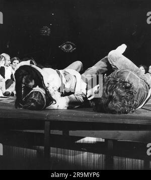heatre / theater, musical, 'Hair', German version, director: Werner Schmid, Bertrand Castelli, ADDITIONAL-RIGHTS-CLEARANCE-INFO-NOT-AVAILABLE Stock Photo