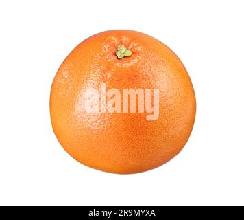 One grapefruit placed on a white background. Stock Photo