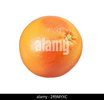 One grapefruit placed on a white background. Stock Photo
