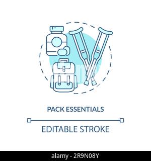 Pack essentials turquoise concept icon Stock Vector