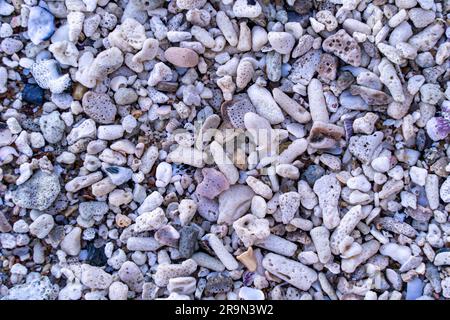 Background of lying small shells and pebbles. Rest on the sea. Natural abstract background for your desktop. Stock Photo