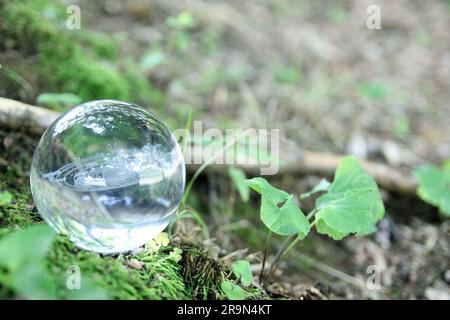 Nature photography of crystal ball with solar system in it, space, future environment and ESG concept Stock Photo