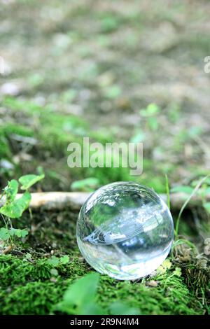 Nature photography of crystal ball with solar system in it, space, future environment and ESG concept Stock Photo