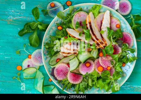 Grilled chicken salad  with cucumber and watermelon radish Stock Photo