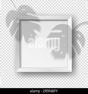 Vector realistic square empty picture frame with monstera shadow overlay effect. Mockup template with white frame boarder isolated on transparent back Stock Vector