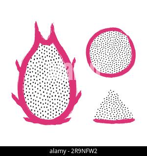 Vector illustration of sliced dragon fruit isolated on white background Stock Vector