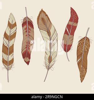 Vector colorful set of different feathers Stock Vector