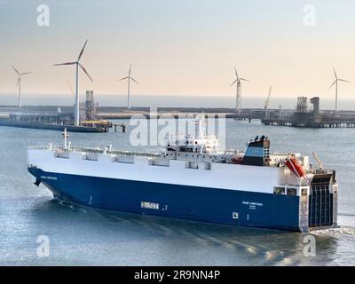 The Port of Zeebrugge (it means Bruges-on-sea)is a large container, bulk cargo, new vehicles and passenger ferry terminal port on the North Sea. handl Stock Photo