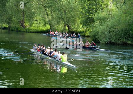Team Rowing Thames Rowing teams on the Thames at Iffley Village, just by its Lock and ...