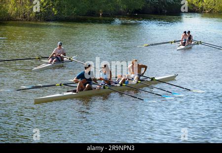 Team Rowing Thames Rowing teams on the Thames at Sandford Village, just by Sandford Lock ...