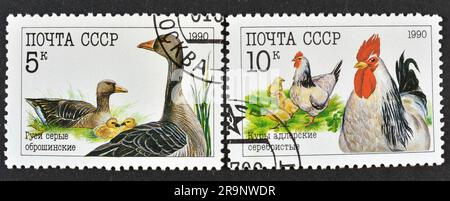 Cancelled postage stamps printed by Soviet Union, that show Farm animals, circa 1990. Stock Photo