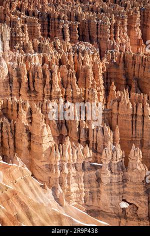 Isolated Photo of Bryce Canyon Hoodoos Stock Photo