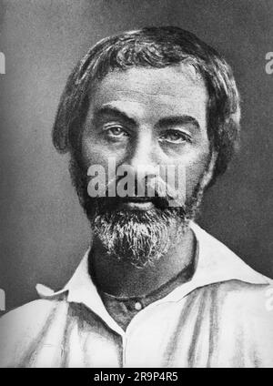 Whitman, Walt, 31.5.1819 - 26.3.1892, American writer, 1855, ADDITIONAL-RIGHTS-CLEARANCE-INFO-NOT-AVAILABLE Stock Photo