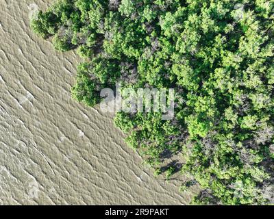 Aerial view green mangrove forest and sea water wave. Net zero emissions concept. Natural carbon sinks. Mangrove tree capture CO2. Blue carbon eco Stock Photo