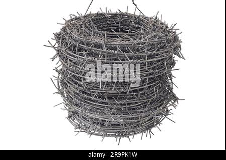 Coil of steel barbed wire isolated on white background Stock Photo