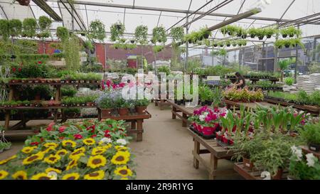 Interior of horticulture store supply flower shop local business Stock Photo