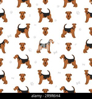 Airedale terrier all colours seamless pattern. Different coat colors set. Vector illustration Stock Vector