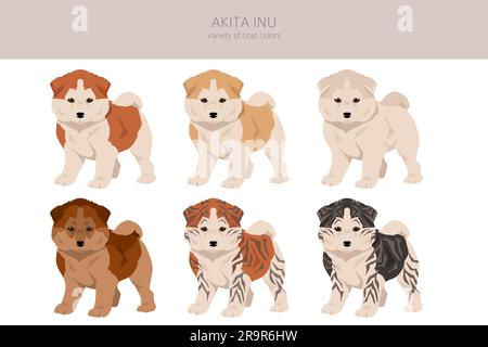 Akita Inu all colours puppy clipart. Different coat colors set. Vector illustration Stock Vector