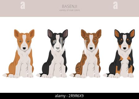 Basenji puppy all colours clipart. Different coat colors and poses set.  Vector illustration Stock Vector